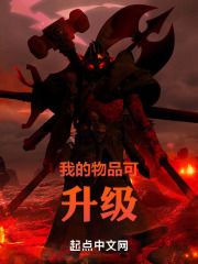 我的物品可升级小说