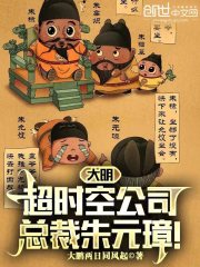 大明超时空公司,总裁朱元璋!小说
