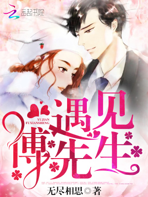 遇见,傅先生