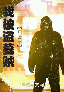 我被盗墓了 小说