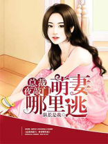 总裁萌妻哪里逃