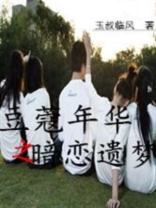 豆蔻年华的小说