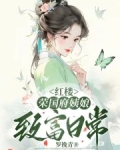 红楼:荣国府姨娘致富日常